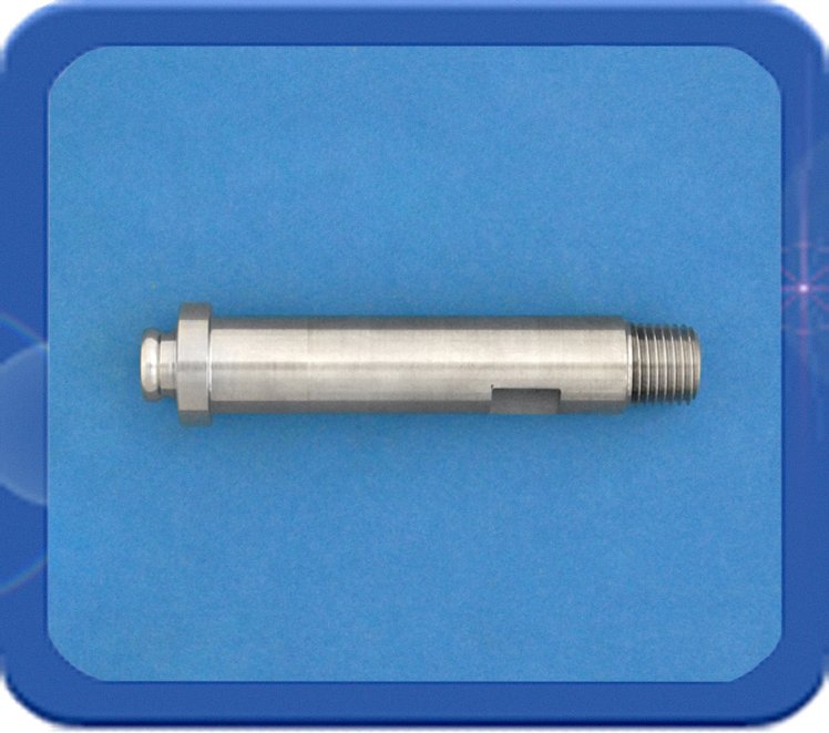 1/4"R NPT uitwendig RVS